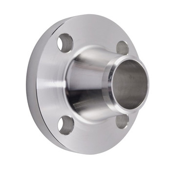 Investment Casting SUS304 Flange 