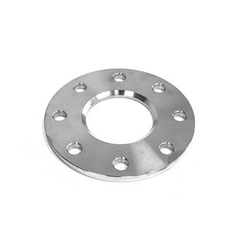 Densen Customized Stainless Steel 304 Silica Sol Investment Casting Blank Flanges Blind Flange or Floor Flange 