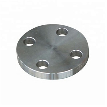 Stainless Steel F304L Flat Flange JIS B2220 10K So-P Cdfl629 