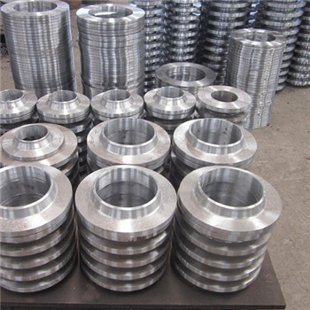 Stainless Steel Pipe Slip on Weld Neck Blind Flange Cdfl124 