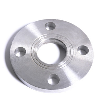 Hot DIP Galvanized Steel Pipe Fittings Flange 