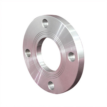 Stainless Steel Forged Flange for Slip-on, Weld Neck, Thread, Blind, Socket Weld 