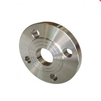 Forged Stainless Steel Flange - ANSI DIN EN1092-1 GOST 