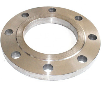 Pressure Vessel Stainless Steel Round Tube Sheet Flange 