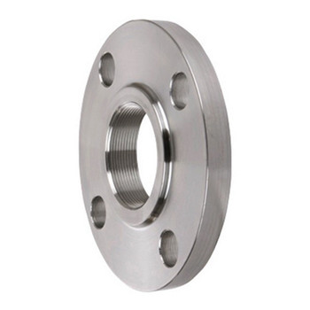 Stainless Steel Forged So/ Blind/Slip on/Threaded/Socket Welding/Steel Pipe/Plate/Weld Neck/Carbon Steel Flange 