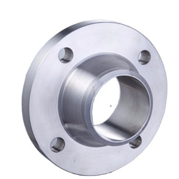 DIN Standard Stainless Steel Forged Flange 