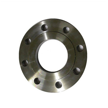 304 Stainless Steel Floor Flange Manufacturer with The Wn Flange 