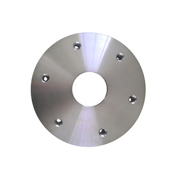 Wn Stainless Steel Weld Neck Flange (A182 F304H, F316H, F317) 