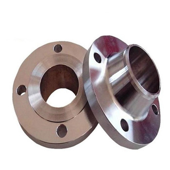 Ss Stainless Steel Pipe Fitting Forged Welding Neck Flange Manufacturer 