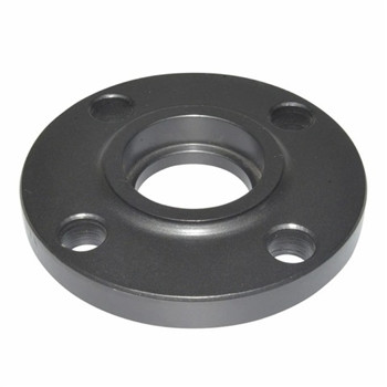 DIN Standard Stainless Steel Forged Flange 