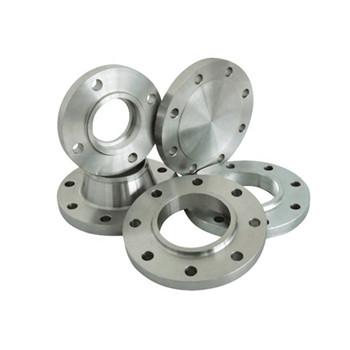 304/316L Stainless Steel Weld Neck Pipe Fittings Flange 