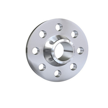 China Hot Sale Stainless Steel Weld Neck Flange 