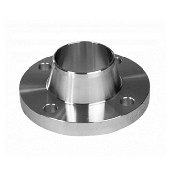 Ss Stainless Steel Pipe Fitting Slip on Flange Manufacturer 