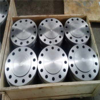 Ss400 JIS 10k Forged Blind Flange 