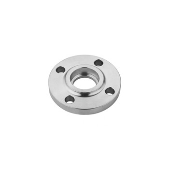 Stainless Steel Threaded Flange (F316Ti, F317L, F309H) 