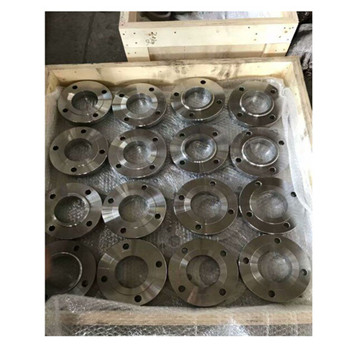 Customized Large Diameter Hot Forging Flange 