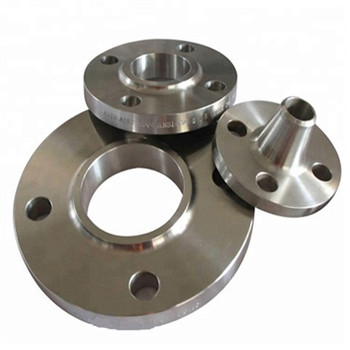 B16.5 Stainless Steel 300# Blind Forged Flange 304/316L 