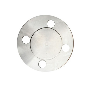 SA/A182 F304/F304L Flanges, SUS 304 Stainless Steel Flange 