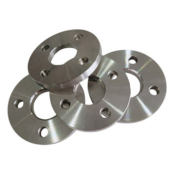 ASTM A182 Super Duplex Stainless Steel Flanges (F51, F53, F55, F50, F57, F59, F60, F61, F904L, 254SMO) Cdfl809 