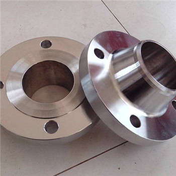 ASME Titanium Flange/ Ti Flange/ Ss Flange 