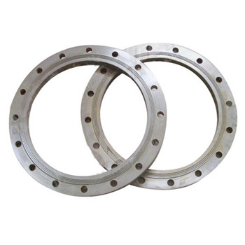 ASTM A182 F51/53 Large Diameter Duplex Stainless Steel Flange 