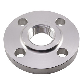 ANSI Carbon Steel/Stainless Steel RF-Blind Plate Flange 