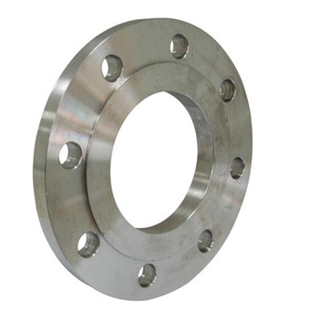 Forged Stainless Steel Thread Flange (YZF-M016) 