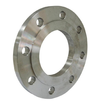 304/316 Stainless Steel Flange Socket Weld Slip on/Weld Neck/Plate Flange/Blind Flange 