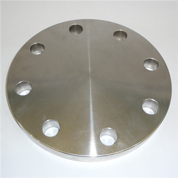 F61/F53/F55/2205/2507 /2520/317L /304/316 ANSI B16.5 Stainless Steel Forged FF Blind Flange 