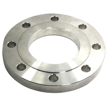 Stainless Steel Forged Flanges A182 F321 F304 904L 316 F53 1/2