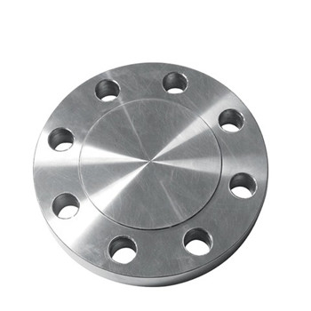 En1092-1 Stainless Steel Flanges 