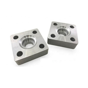 Stainless Steel Forged Flange for Slip-on, Weld Neck, Thread, Blind, Socket Weld 