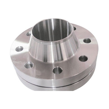 Cast/Forged F321/F304/304L/904L/F316/316L/F53 Stainless Steel Flange 