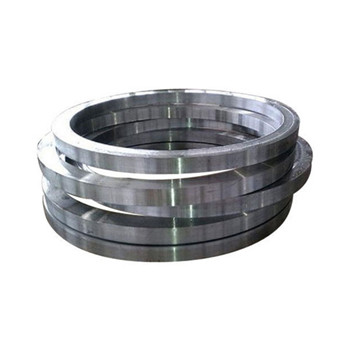 Pressure Vessel Stainless Steel Round Tube Sheet Flange 