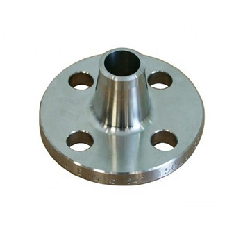 Ss Stainless Steel Pipe Fitting Forged Welding Neck Flange Manufacturer 