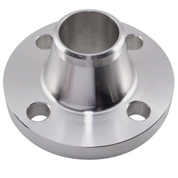 Hot DIP Galvanized Steel Pipe Fittings Flange 