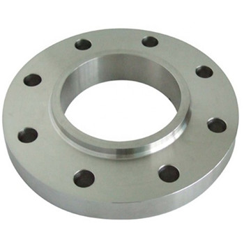 304 316 High Pressure Stainless Steel Blind Flange Cdfl363 