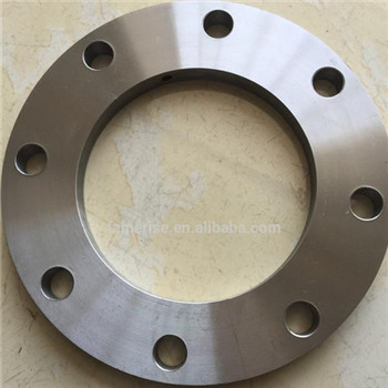 Large Diameter Forging Flange (300-6500mm) 