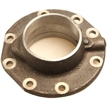 OEM ODM SUS304/SUS316 Casting Flanges by Investment Casting 