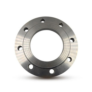 Stainless Steel Weld Neck Flange En/DIN (1.4550, X6CrNiNb1810) 