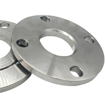 ASME B16.5 Ss F316/316L Wn Flange Forged Flange with Ce (KT0276) 