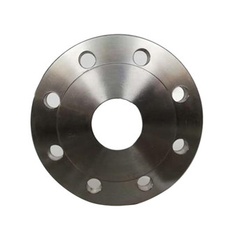 Stainless Steel SS304 Forged Flat Face FF Plate Flange 