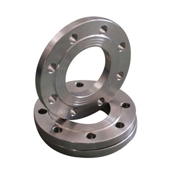 ASTM A182 F51/53 Large Diameter Duplex Stainless Steel Flange 