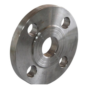 Forged Stainless Steel Sanitary Blind Flange 