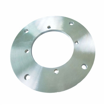 Forged Stainless Steel ANSI B16.5 ASTM A182 F304/316L 150# RF Pipe Flanges 