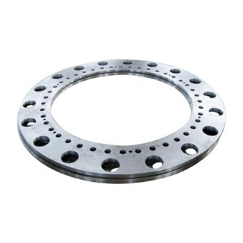 ASME ANSI B16.5 Stainless Steel Forged Slip-on Flange Cdso010 