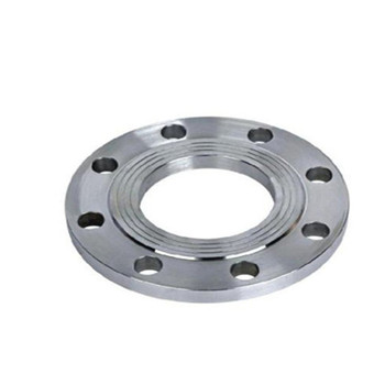 Stainless Steel Pipe Blind Flanges and Flanged Fittings 