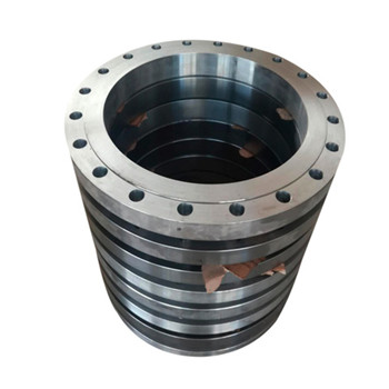 Forged Stainless Steel ASTM A182 F316L Cl150 Orifice Flange 