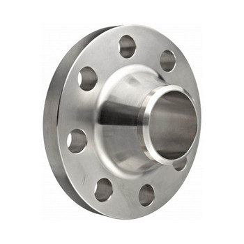 316/316L Stainless Steel Pipe Blind Flange Cdfl057 