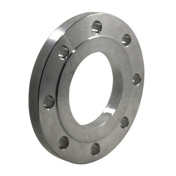 Forged Wn Welding Neck 150lb ASTM A182 F316L Stainless Steel Flanges 